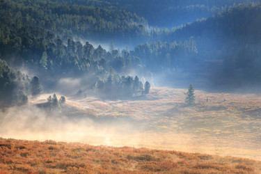 Similar image 21003092