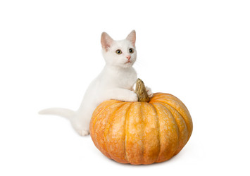 Similar image 21000822