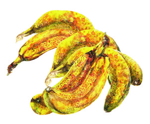 Similar image 21000826