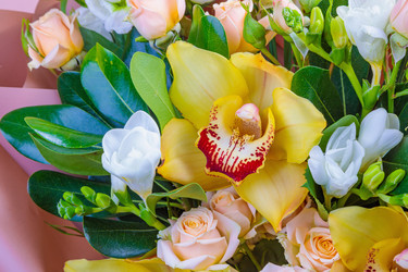 Similar image 21000901