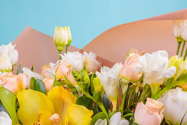 Similar image 21000933