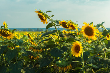 Similar image 21001013