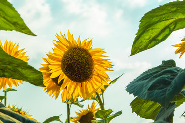 Similar image 21001021