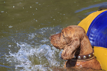 Similar image 21005258