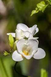 Similar image 21016545