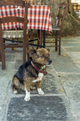 Similar image 21001426