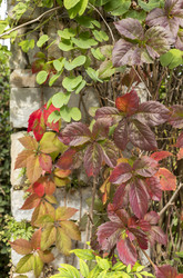 Similar image 21001427