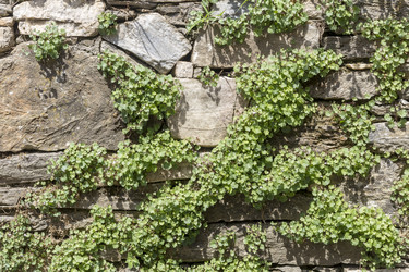 Similar image 21009340