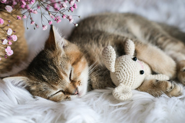 Similar image 21000955