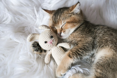 Similar image 21000956