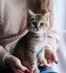 Similar image 21000958