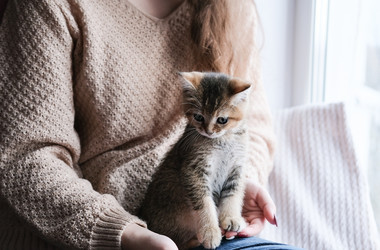 Similar image 21000959