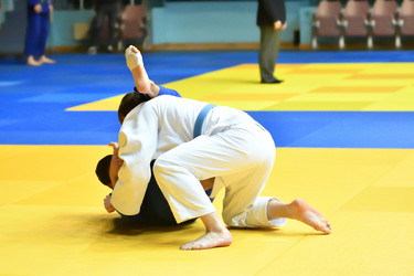 Similar image 21001544