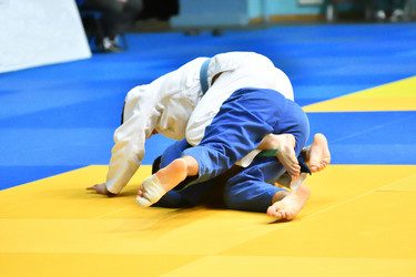 Similar image 21001546