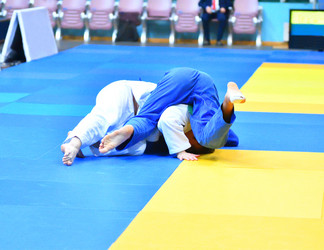 Similar image 21001552