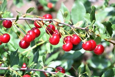 Similar image 21001557