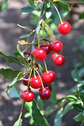 Similar image 21001558