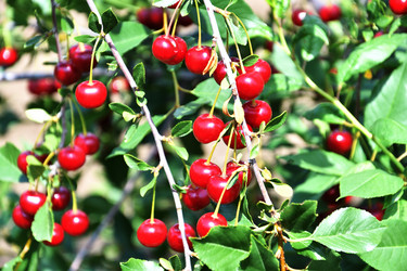 Similar image 21001559