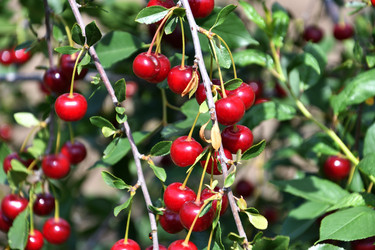 Similar image 21001562