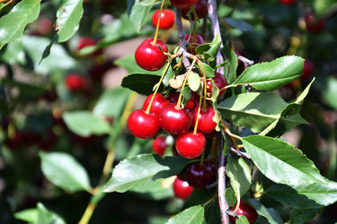 Similar image 21001563