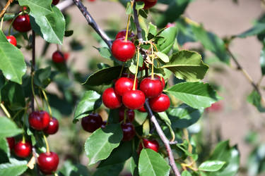 Similar image 21001564