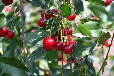 Similar image 21001565