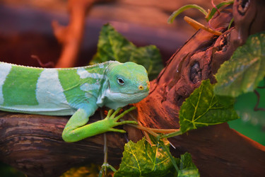 Similar image 21001566