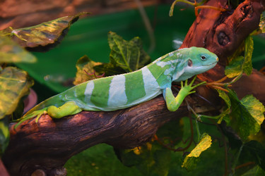 Similar image 21001567