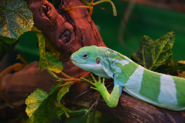 Similar image 21001568