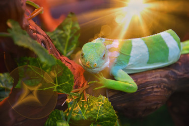 Similar image 21001569