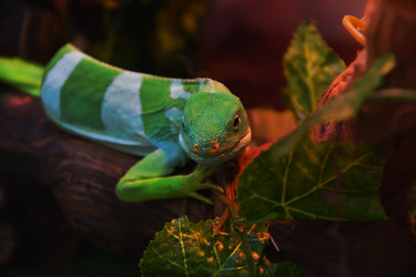 Similar image 21001571