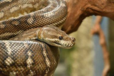 Similar image 21001574