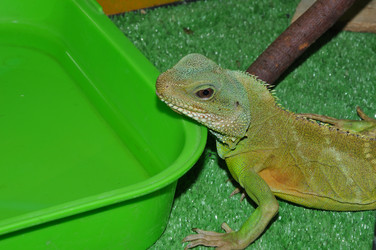 Similar image 21001580