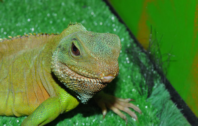 Similar image 21001581