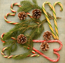 Similar image 21001586