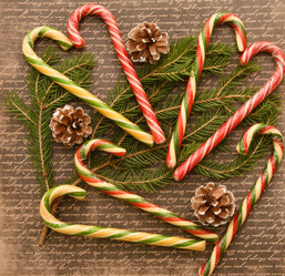 Similar image 21001593