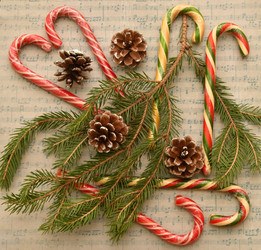 Similar image 21001596