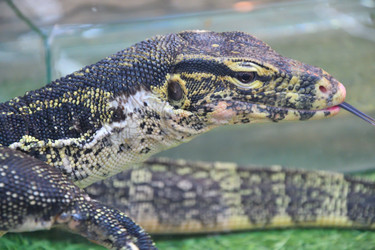 Similar image 21001598