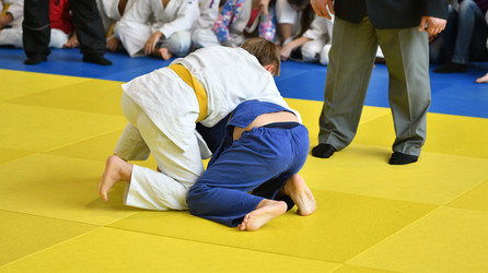 Similar image 21001617