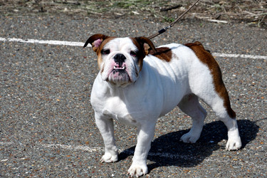 Similar image 21001624