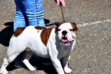 Similar image 21001625