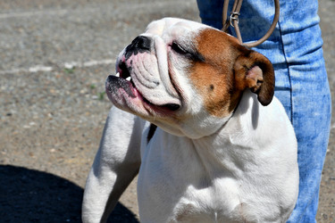 Similar image 21001626