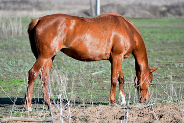 Similar image 21001629