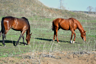 Similar image 21001630