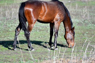 Similar image 21001631