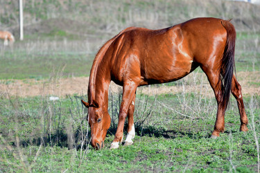 Similar image 21001634