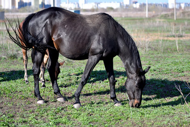 Similar image 21001636