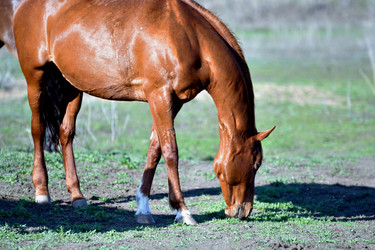 Similar image 21001638