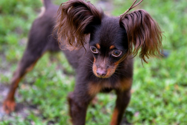 Similar image 21005140