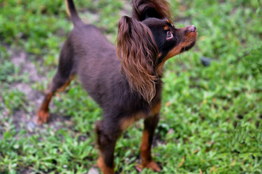 Similar image 21005141